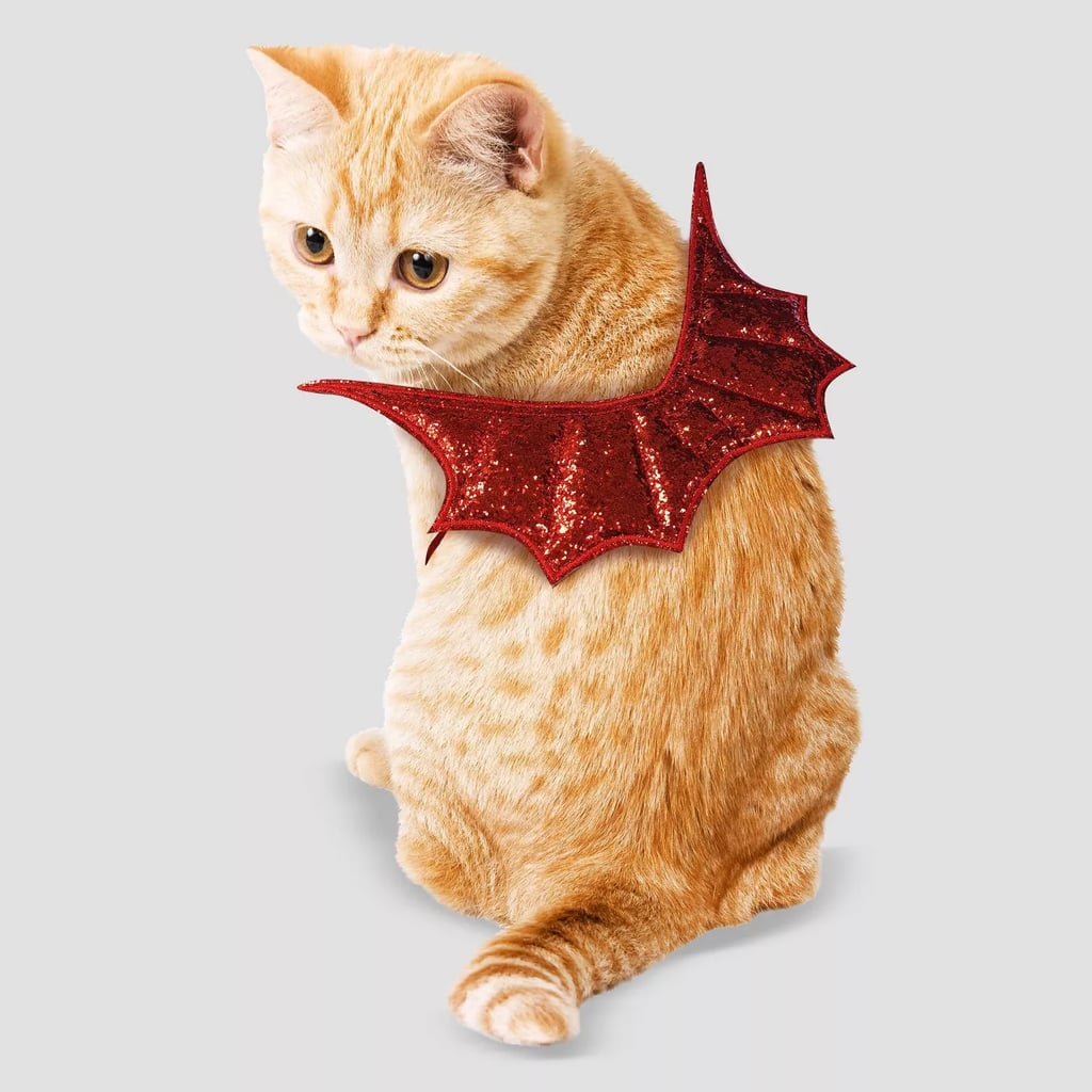 Рыжий кот в костюме