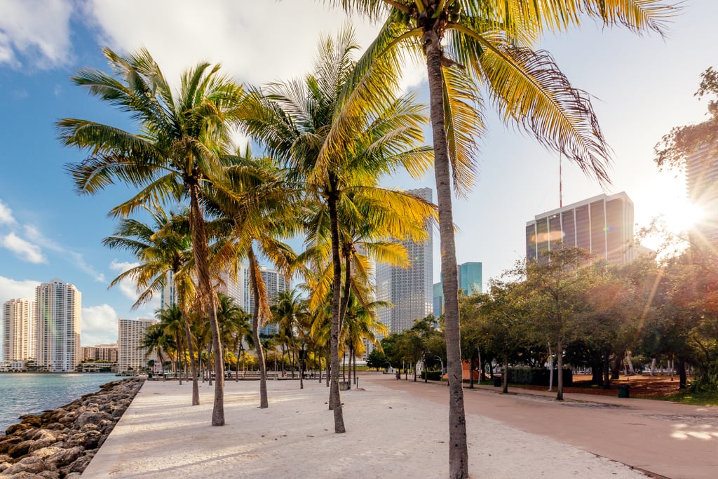 Cities: Miami, USA
