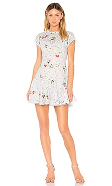 Aijek Dress