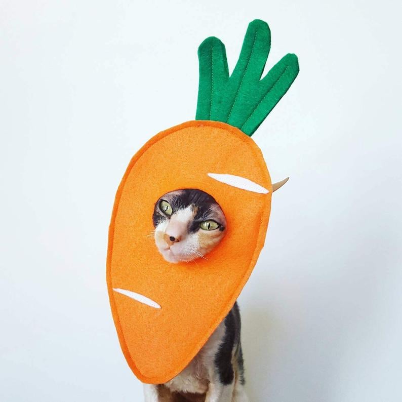 Carrot Cat Costume