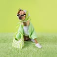 Fashion's Most Lovable Dog, Boobie Billie, Now Has a "Gorgina" Collection of Mini Bags