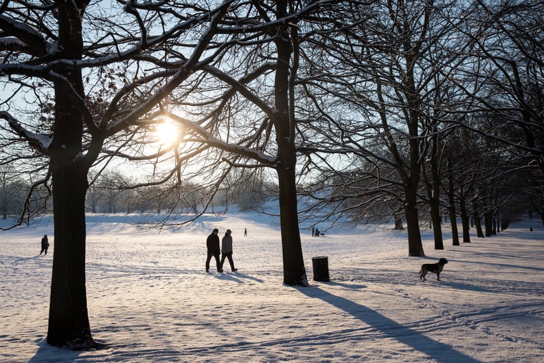 Greenwich Park, London