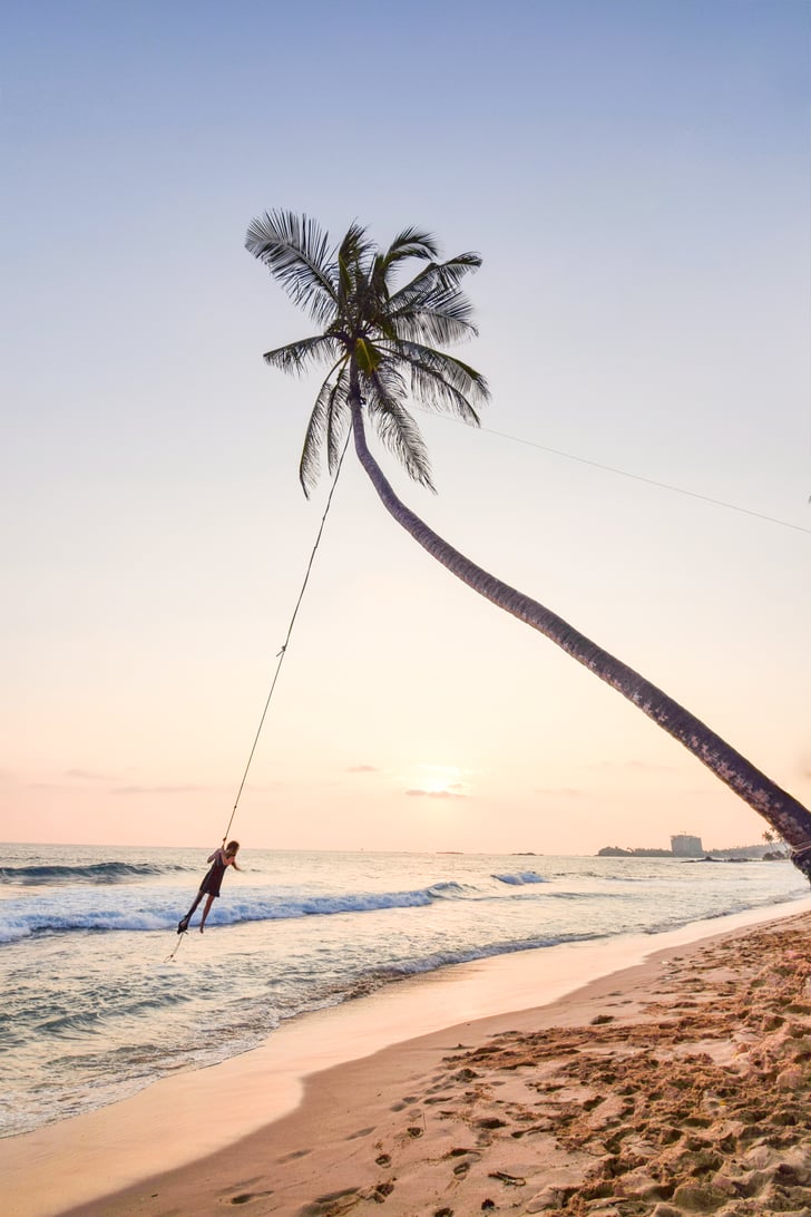 Palm Tree Swings Best Things To Do In Sri Lanka