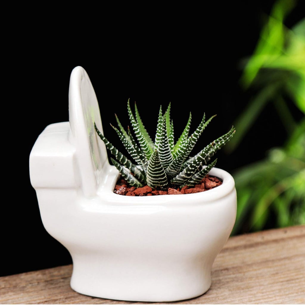 Amazon Is Selling Mini Toilet-Shaped Succulent Planters