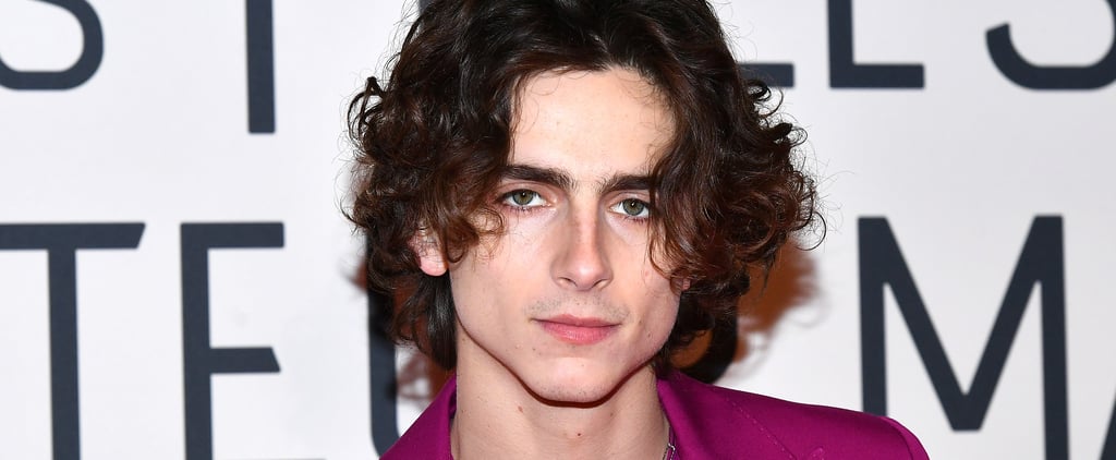An Ode to Timothée Chalamet's Insanely Chiseled Jawline