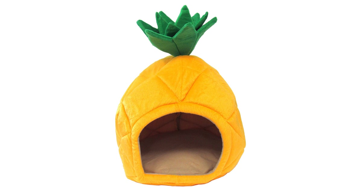 YML Pineapple Pet Bed House Dog Houses on Amazon POPSUGAR Smart