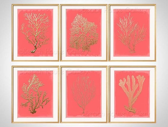 Coral Wall Art