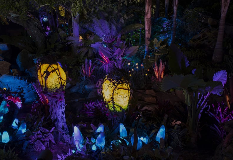 Explore Pandora at Night