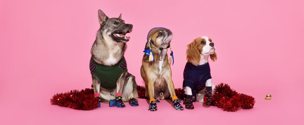 Happy Socks Dog Socks