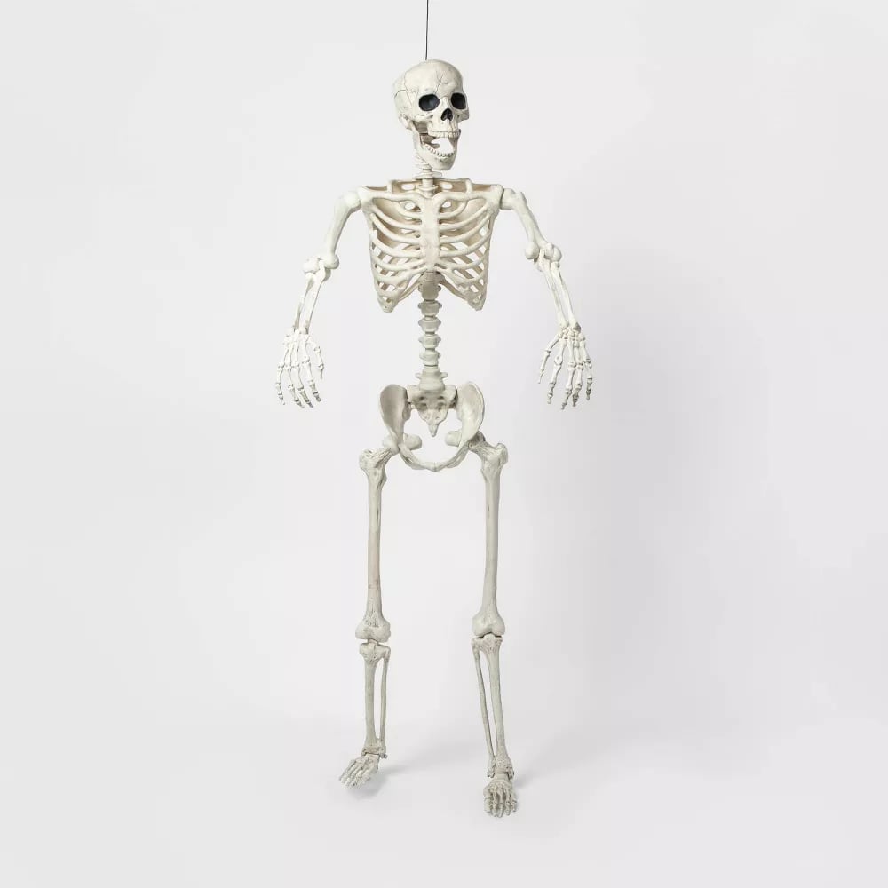 Posable Skeleton