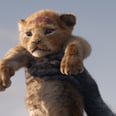 The Lion King: You'll Get the Urge to Sing "Circle of Life" After Seeing These Photos