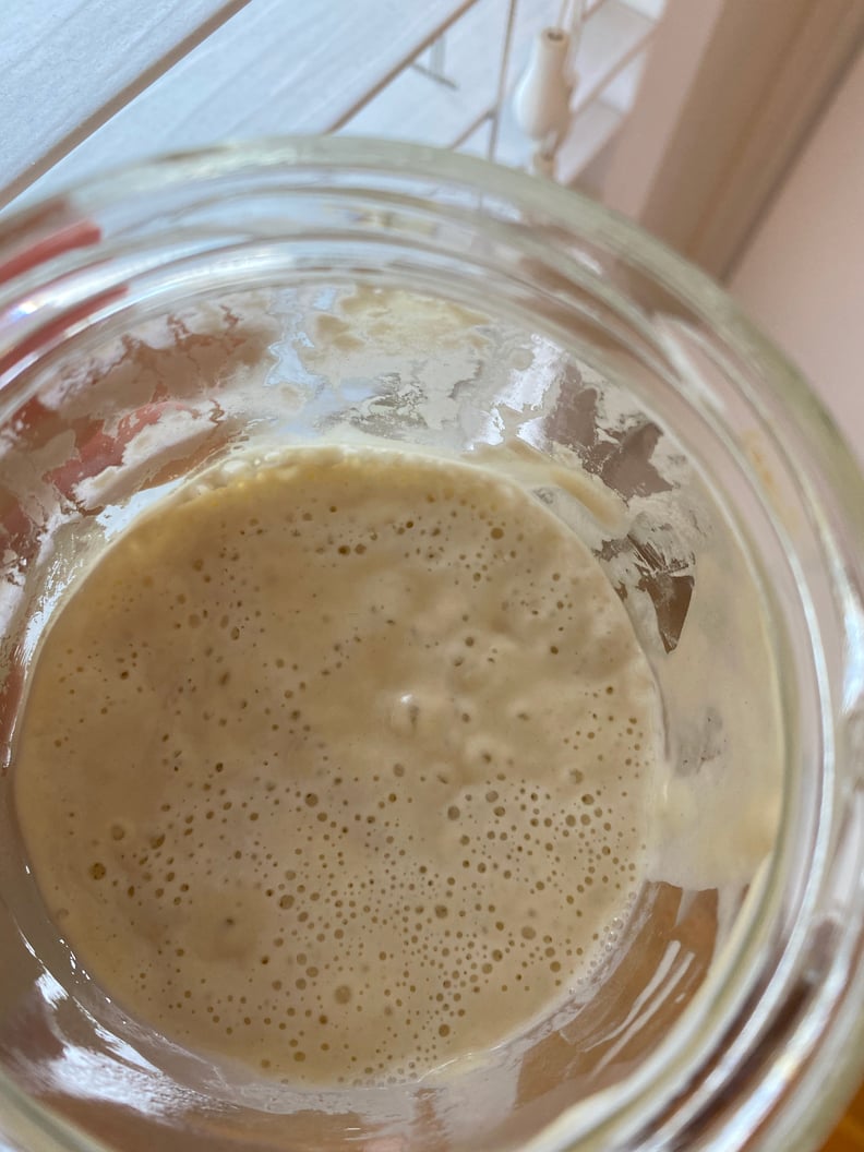 Sourdough Starter Day 13