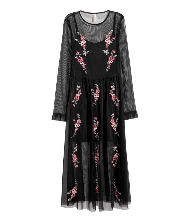 H&M Embroidered Mesh Dress