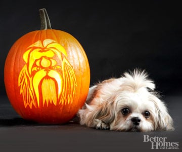 Image result for dog Pumpkin Carving