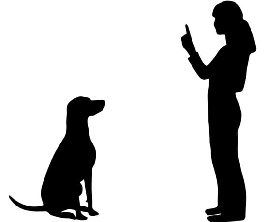 hand signals for dog commands