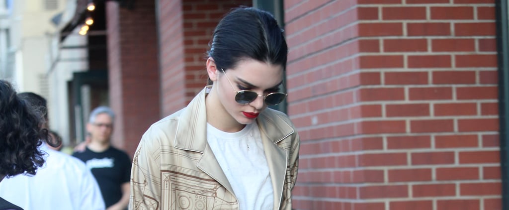 Kendall Jenner's Furry Givenchy Bag