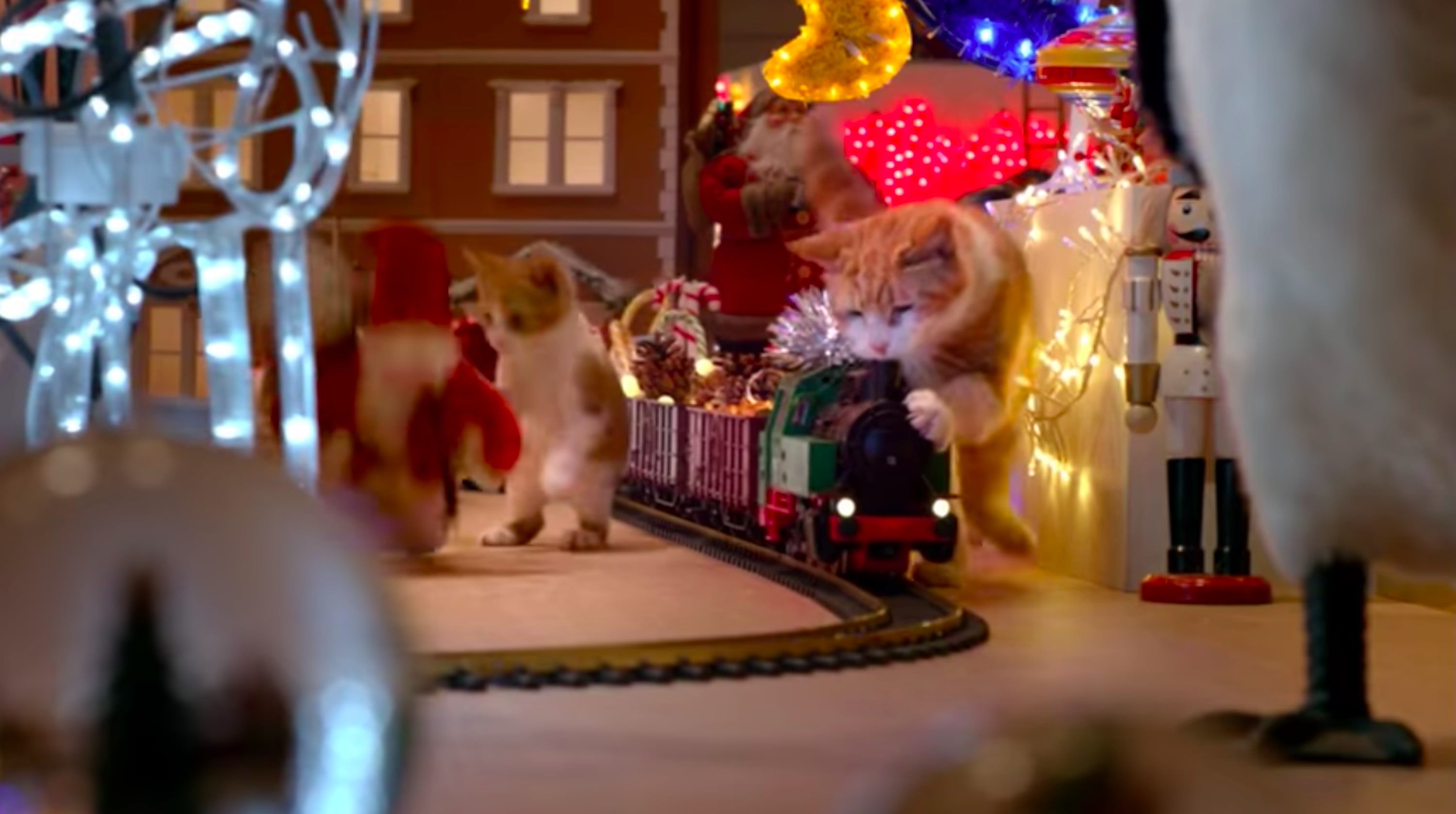 Temptations Cat Christmas Commercial POPSUGAR Pets