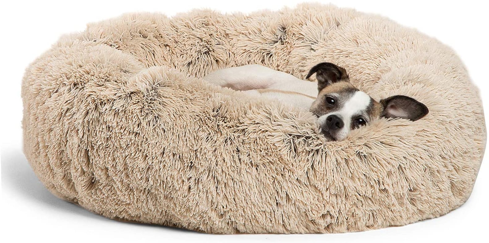 Best AntiAnxiety Dog Beds POPSUGAR Pets