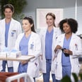 A Guide For the New and Returning Characters in "Grey's Anatomy" Season 19