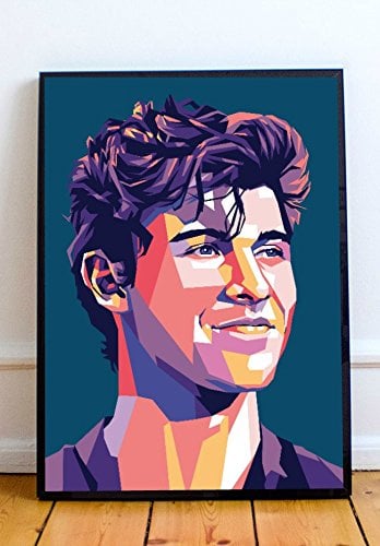 AAP Shawn Mendes Limited Poster Artwork