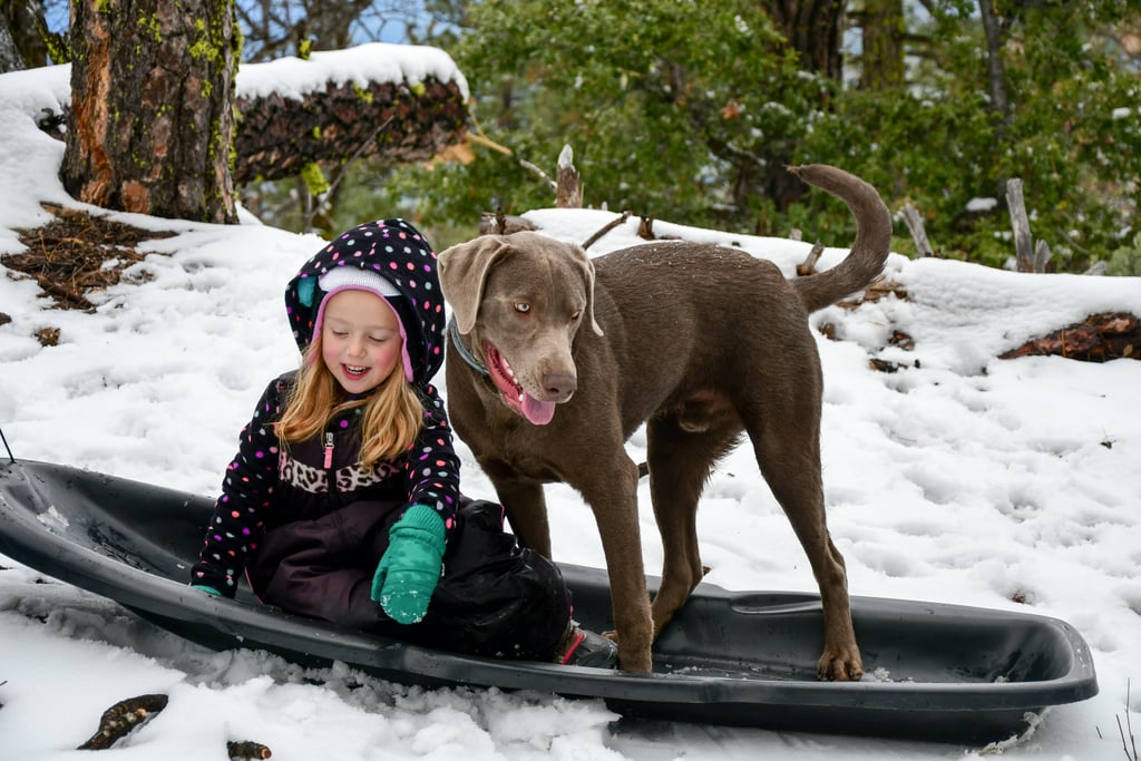 Cute Photos of Kids and Dogs