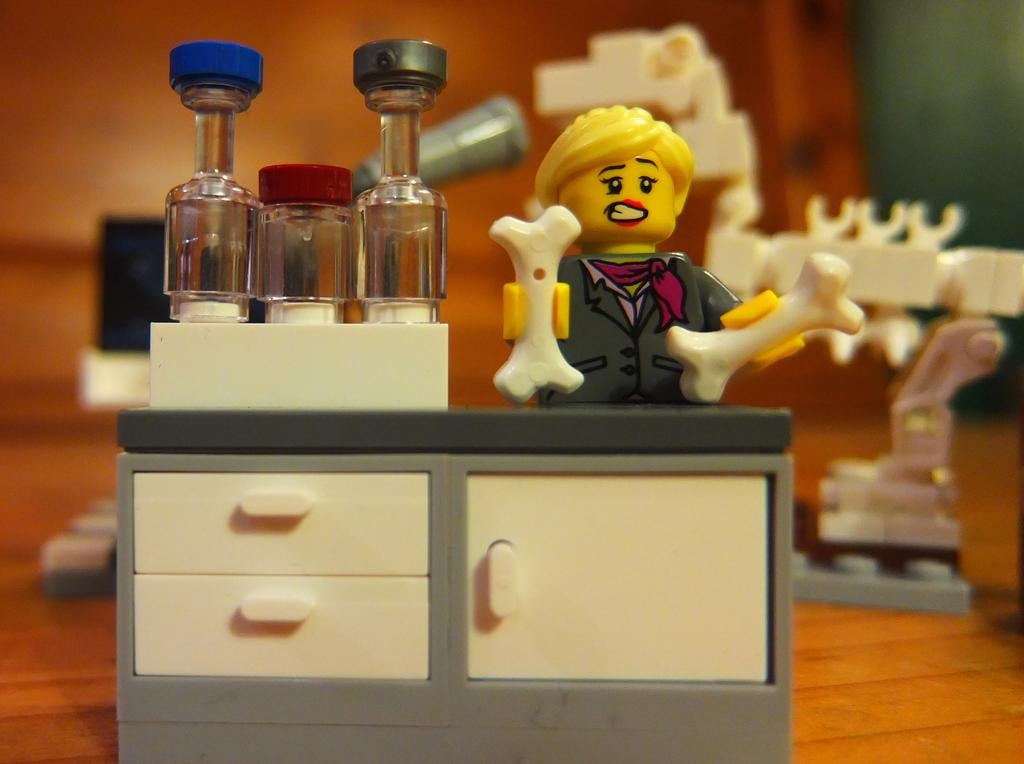 "The @LegoAcademics have been been living entirely on leftover conference food and lecture nibbles for the past 8 days."