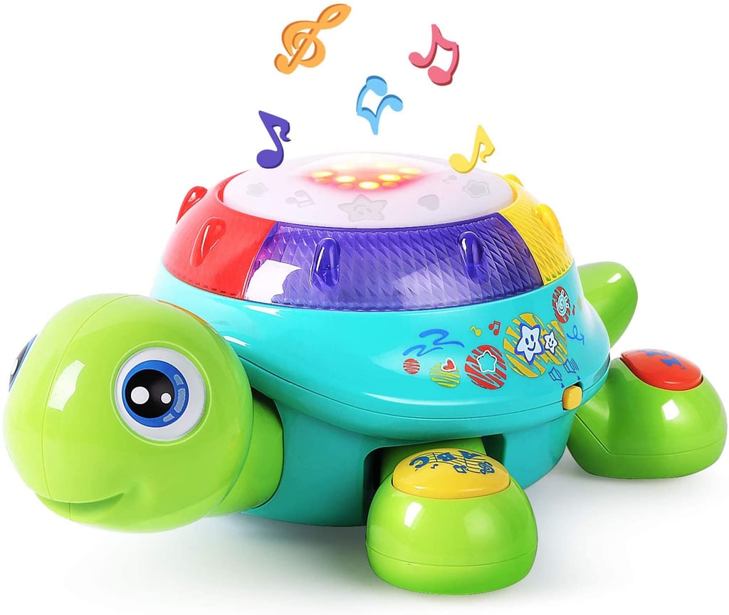 Musical Turtle Toy