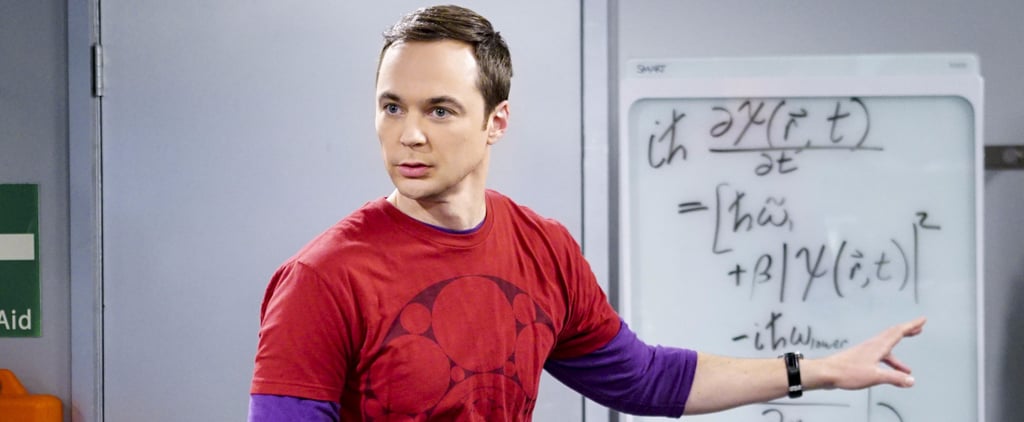 The Big Bang Theory Prequel Cast