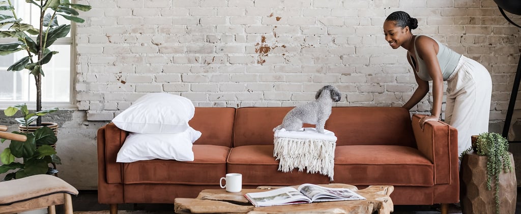 Best Sofas From Albany Park