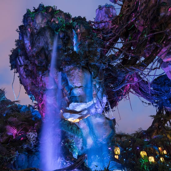 Do Any of the Pandora World of Avatar Rides Make You Sick?