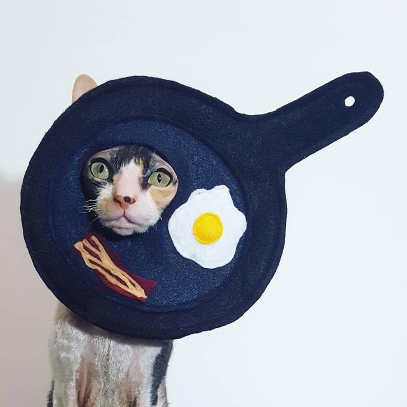 Breakfast Pan Egg and Bacon Cat Costume