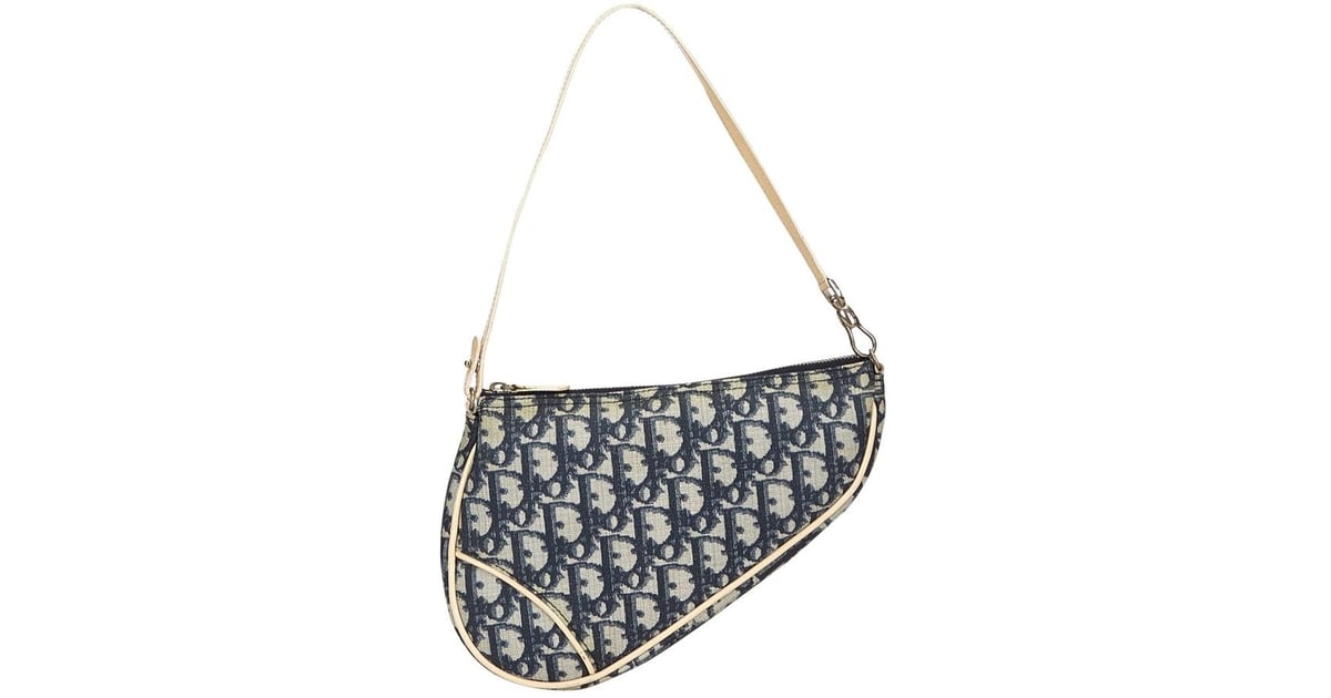 Christian Dior Saddle Cloth Handbag | Bella Hadid's Dior Bag October ...