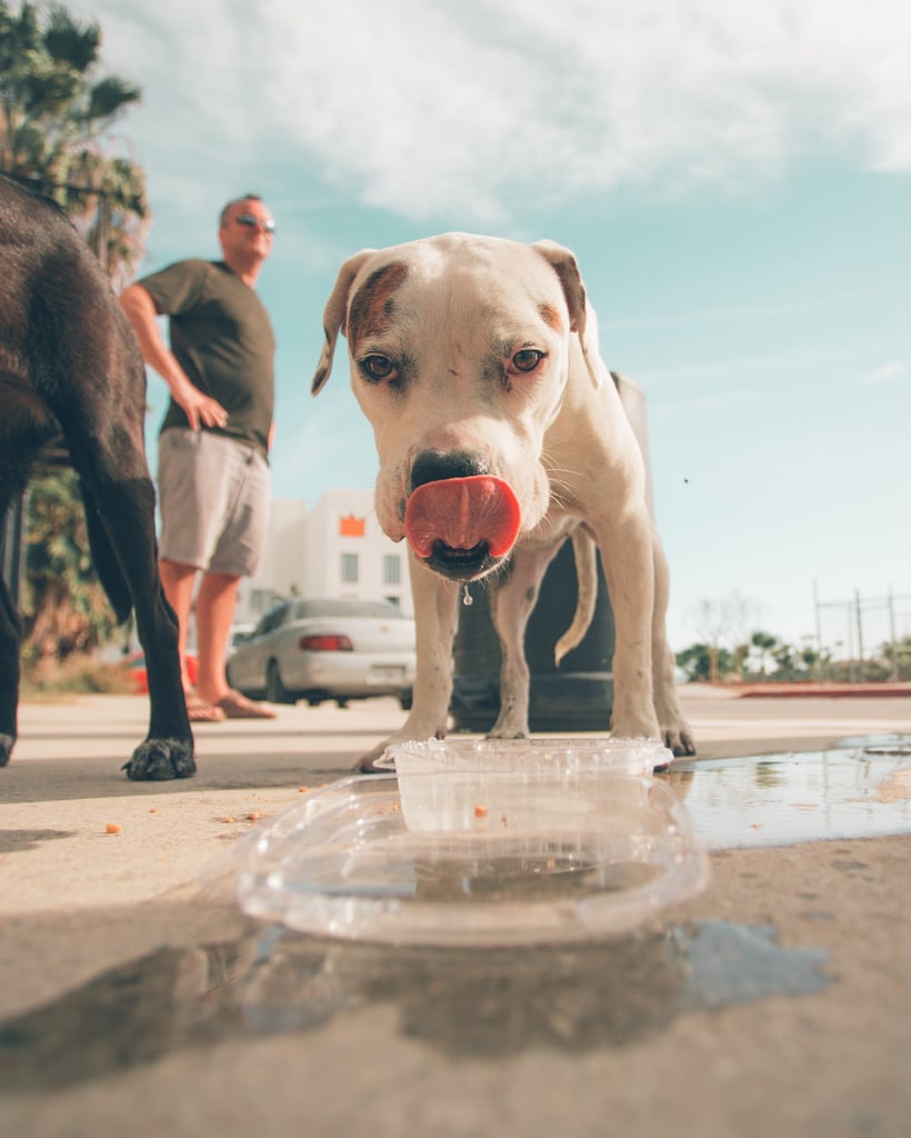 Keep Them Hydrated