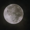 What to Expect During 2024's Lunar Eclipses, According to an Astrologer