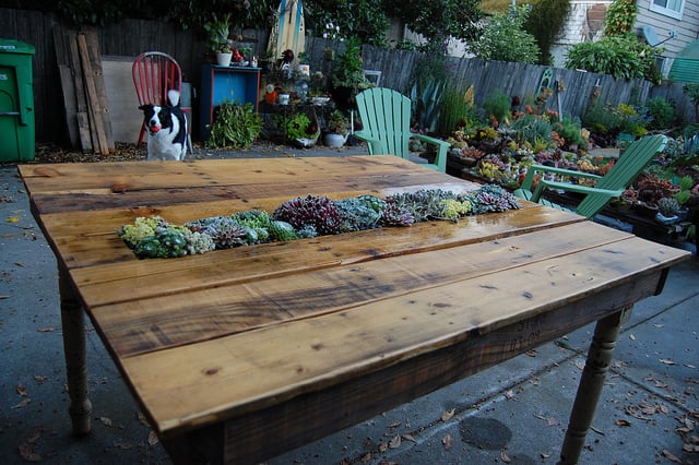 No need to arrange floral centerpieces when you have a perennial succulent garden in the middle of your table!
Source: Far Out Flora