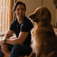 Exclusive: Watch Milo Ventimiglia Play With an Incredibly Cute Dog in The Art of Racing in the Rain