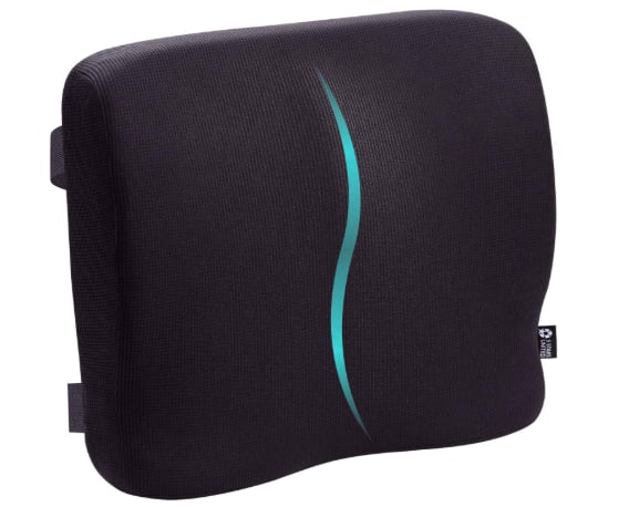 Memory Foam Lumbar Pillow by 5 Stars United