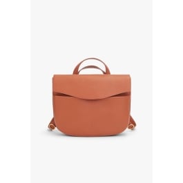 Cuyana Convertible Satchel