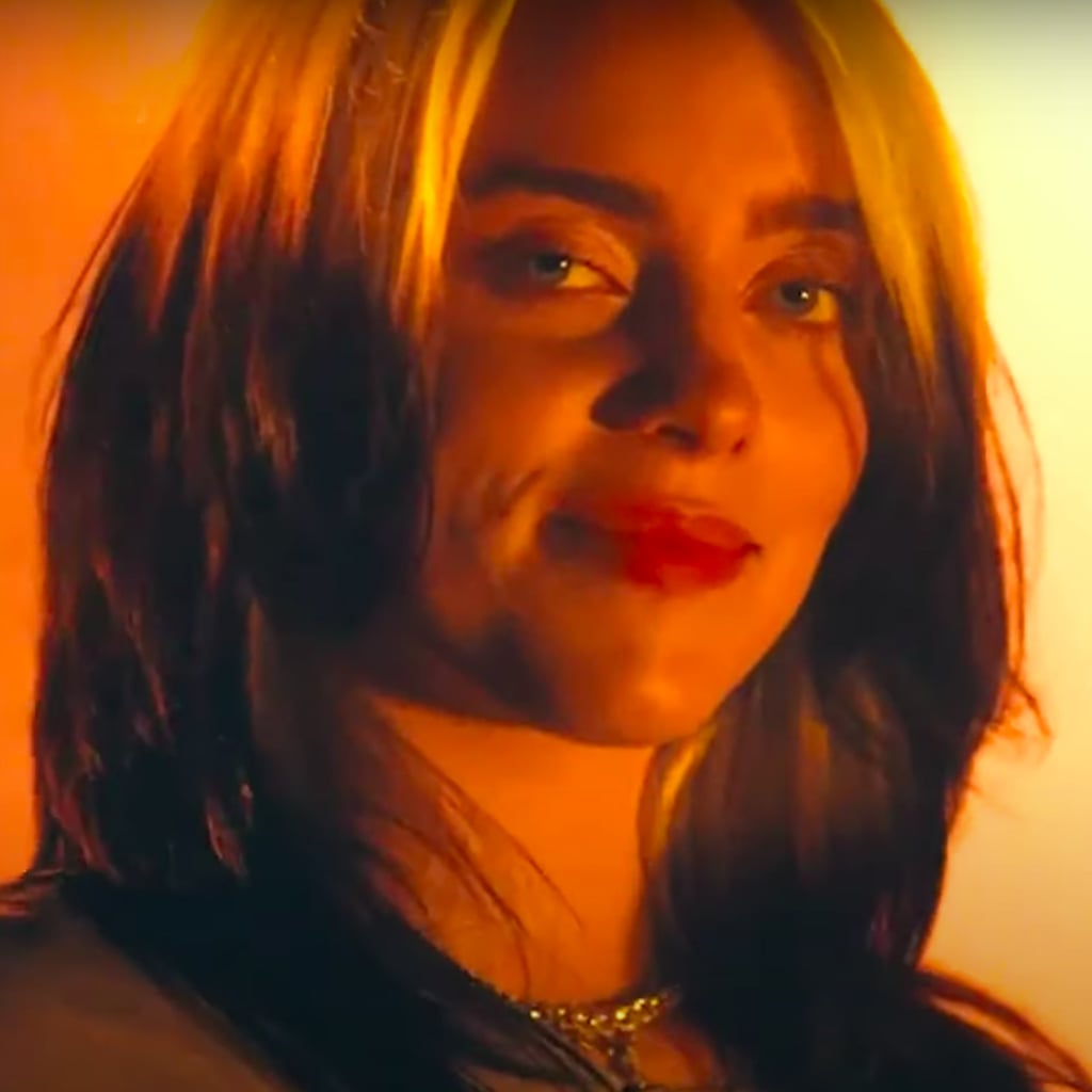 Billie Eilish's Democratic National Convention Performance