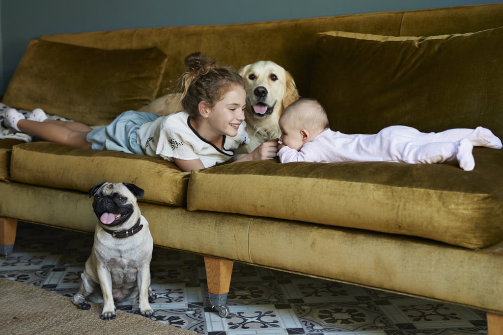 Cute Photos of Kids and Dogs