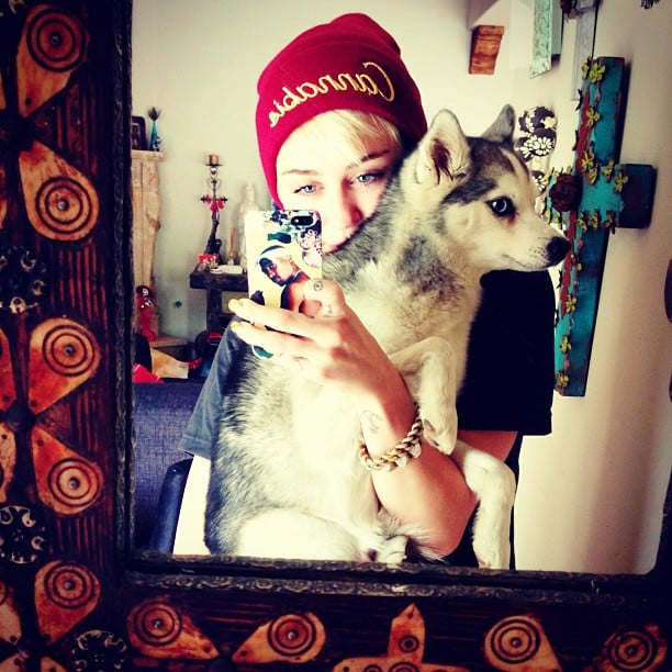 Miley Cyrus took a selfie with one of her many pups in May 2013.

Source: Instagram user mileycyrus