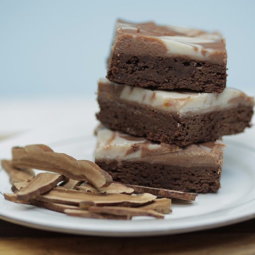 Reishi Mushroom Brownies