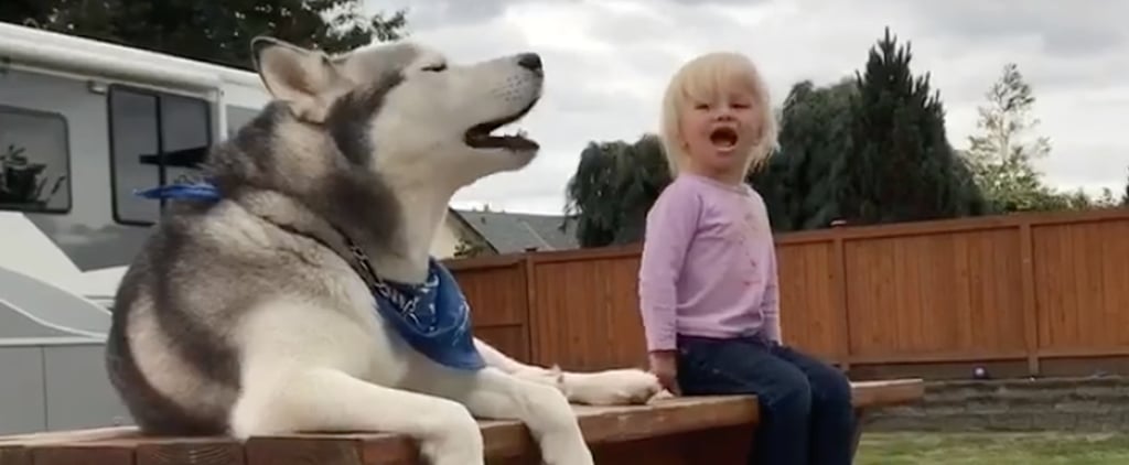 I Can't Decide Who's Cuter — This Toddler Talking to Her Dog or Her Dog Who's Talking Right Back