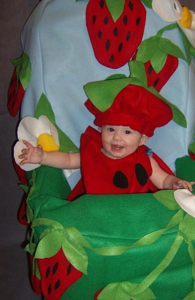 Strawberry Patch Costume