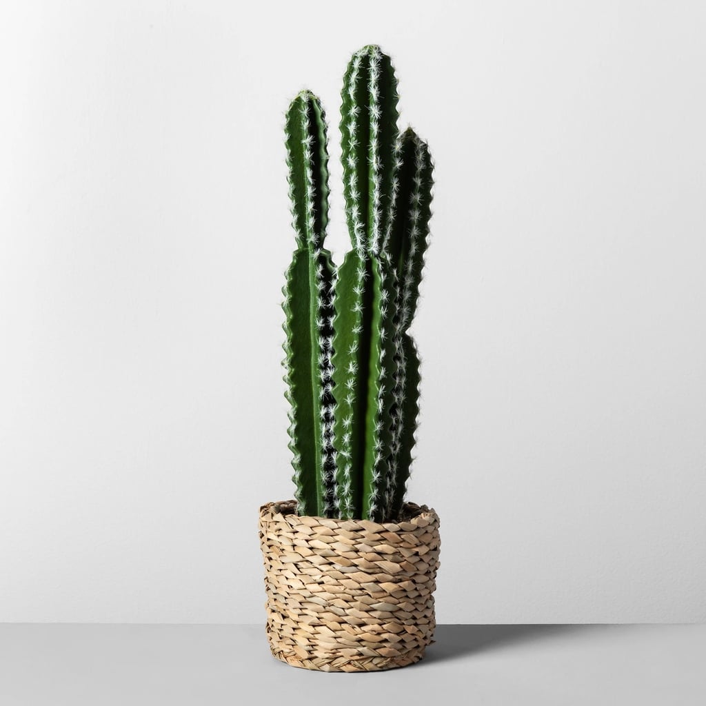 Artificial Cactus in Basket Best Target Decor Under 50 POPSUGAR