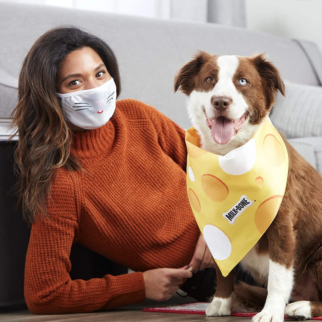 Milk-Bone Halloween Face Mask and Dog Bandana — Mouse & Cheese Print Set For Big Dogs