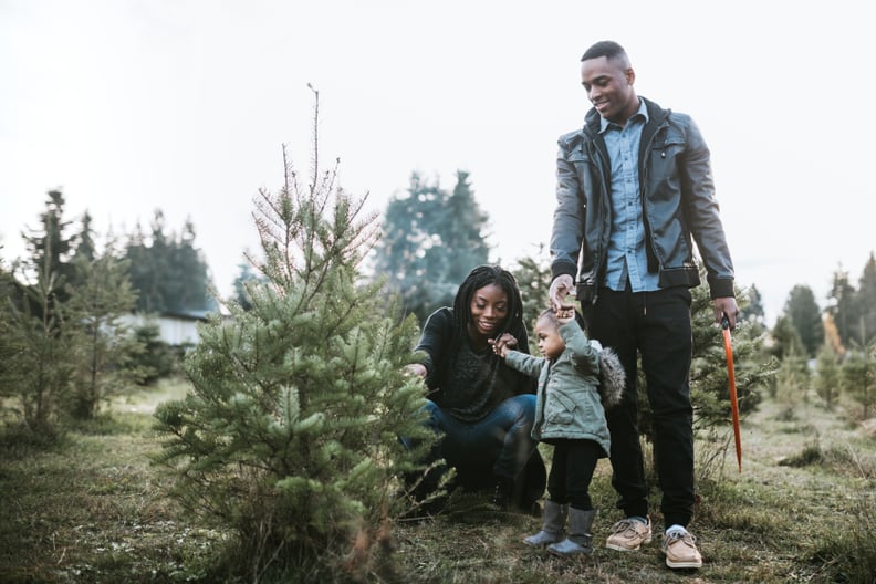 Get a Christmas tree from a tree farm
