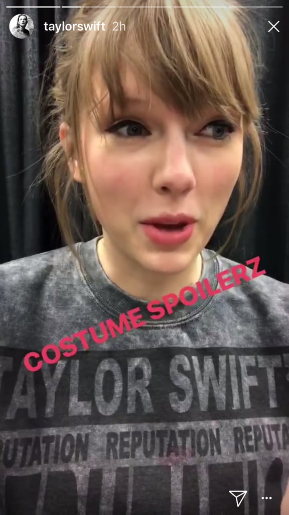 Taylor Swift Gave a Sneak Peek of Her Reputation Tour Costumes