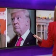 Sam Bee's Epic Takedown of Donald Trump's Rumored Cabinet Will Make You Feel Slightly Better