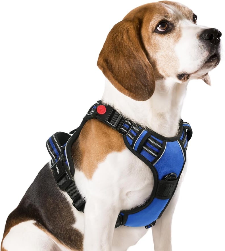 Best Pet Harness